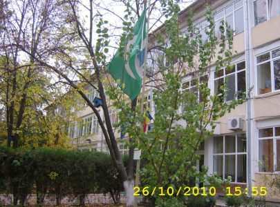 Eco-Blog 2010-2011-2012