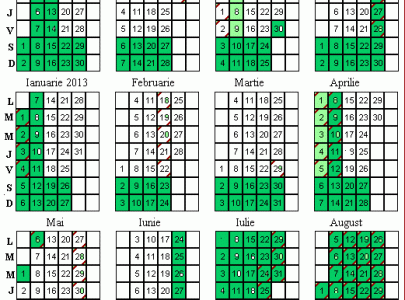ANUL SCOLAR 2012-2013