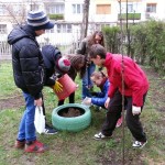 gradina
