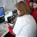 laborator