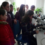 laborator 