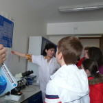 laborator 