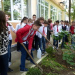 clasa 8B