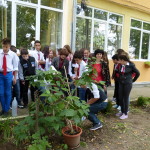 P1010095