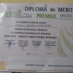 diploma