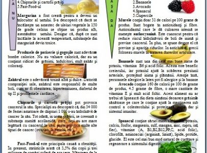 Proiecte si activitati ECO