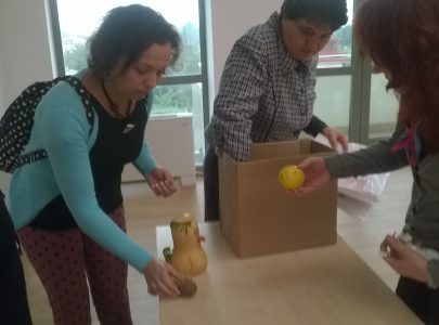 SNAC – voluntariat