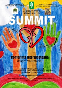 afis summit voluntar