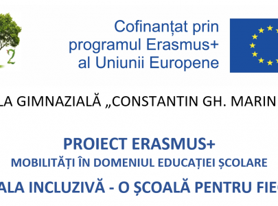 Proiecte europene/internaționale