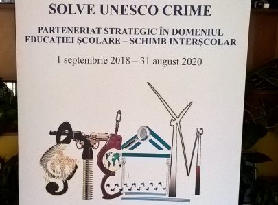 Diseminare