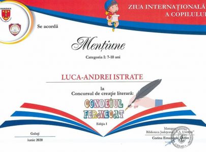 Concursuri/ competiții școlare